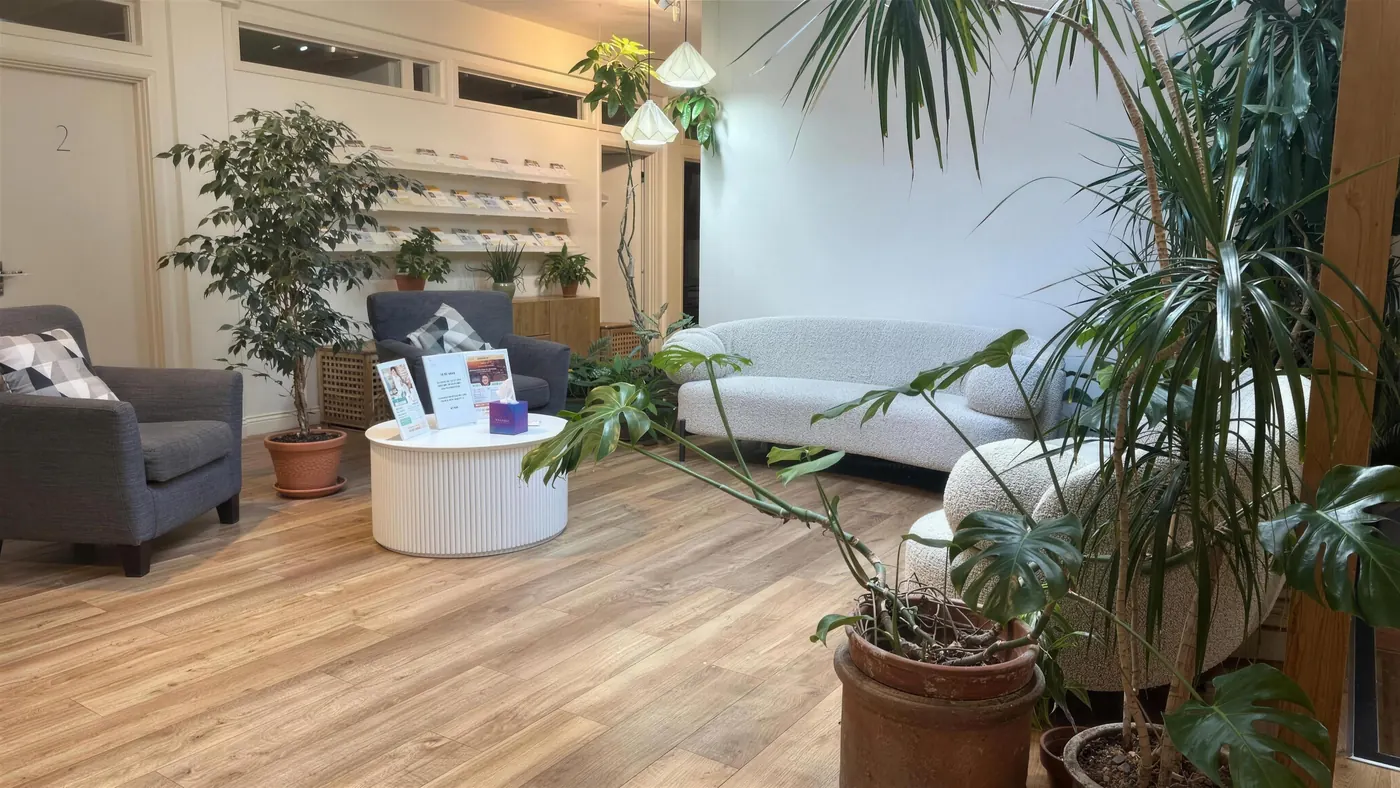 The lounge, with a sofa, armchair and plants